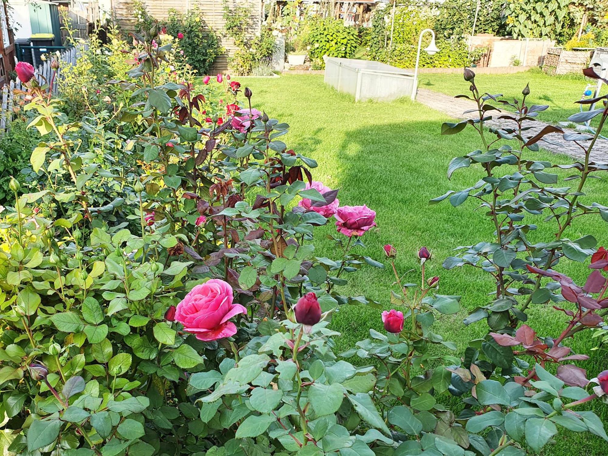Ferienwohnungen Hainichglueck Bad Langensalza Luaran gambar